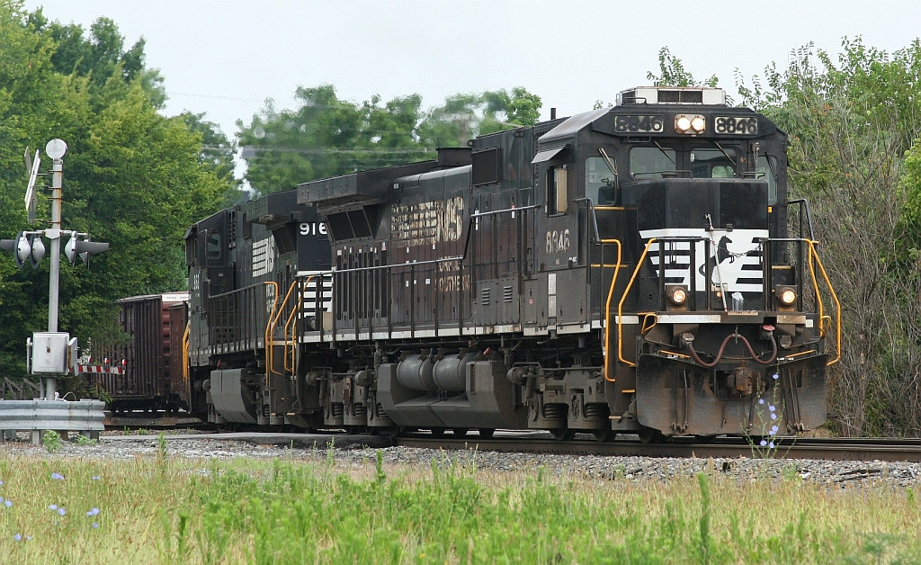 NS 8846 top hat in the lead